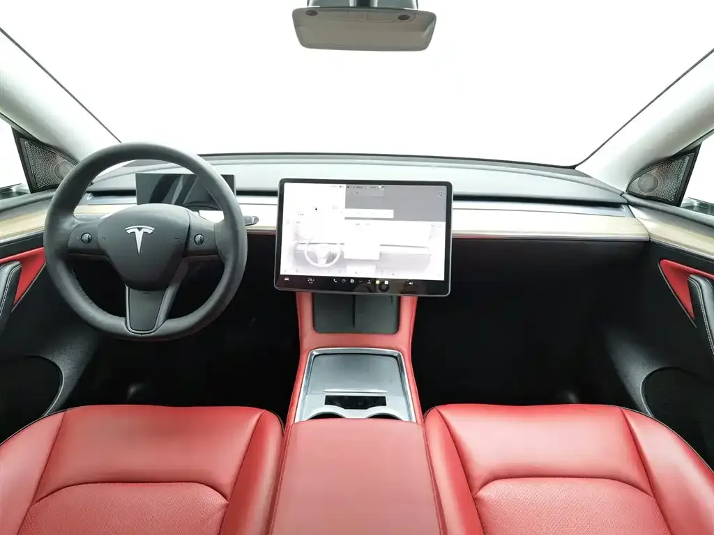 Tesla Model Y 2021 из CN, фото 5