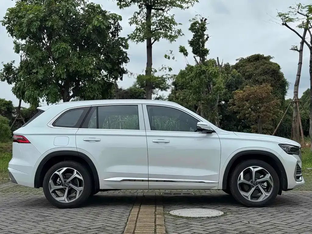 Geely Xingyue L 2024 из CN, фото 3