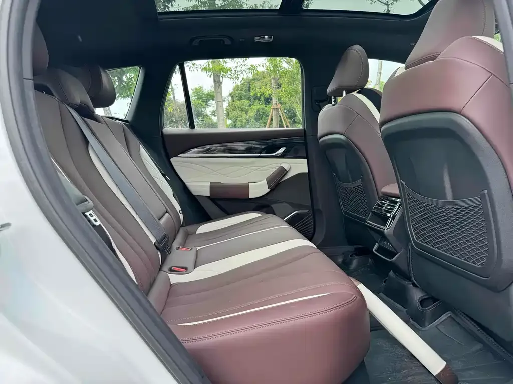 Geely Xingyue L 2024 из CN, фото 9