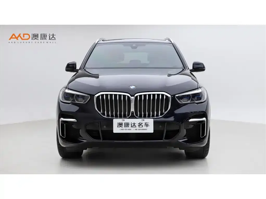 BMW X5 2023 из CN, фото 2