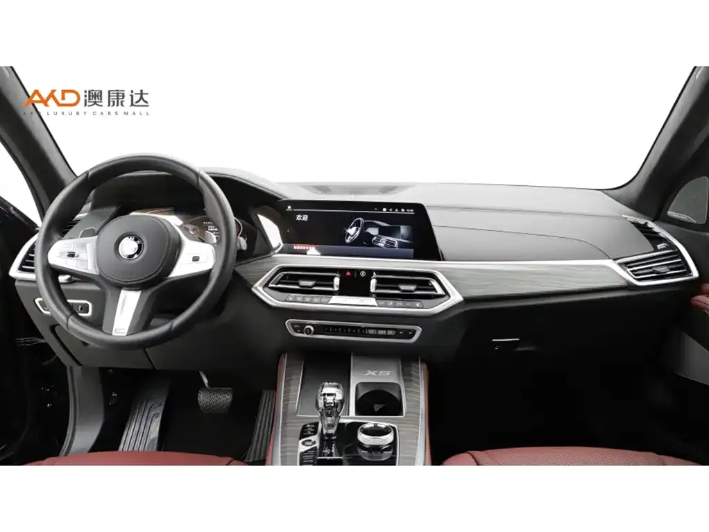 BMW X5 2023 из CN, фото 5