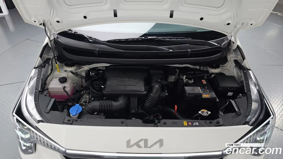 [object Object] morning 2025 из KR, фото 6