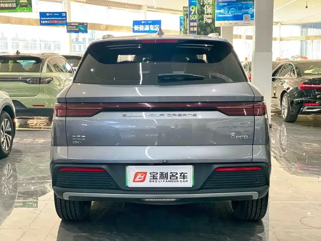 BYD Pro New Energy — фото 4