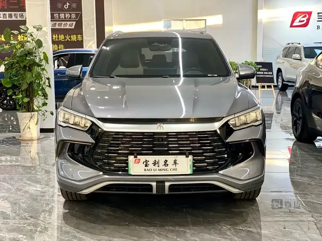 BYD Pro New Energy — фото 7