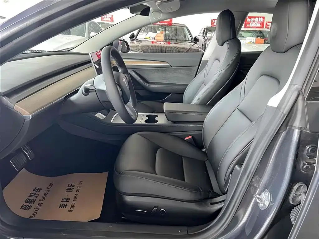 Tesla Model 3 2021 из CN, фото 4