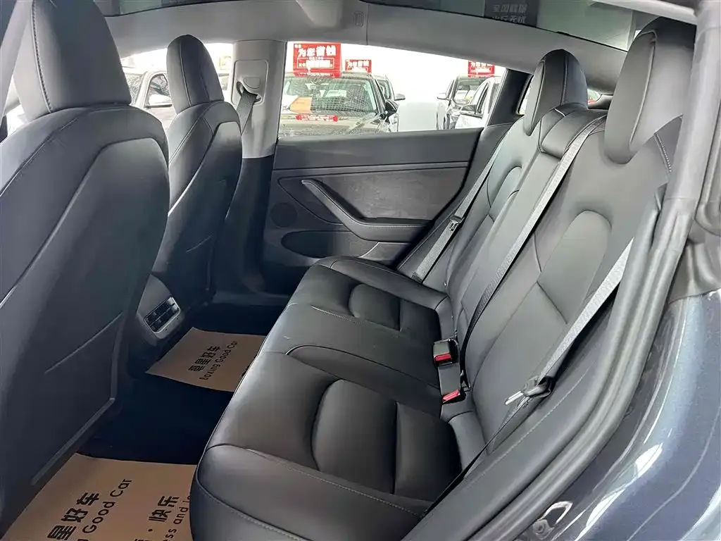 Tesla Model 3 2021 из CN, фото 5