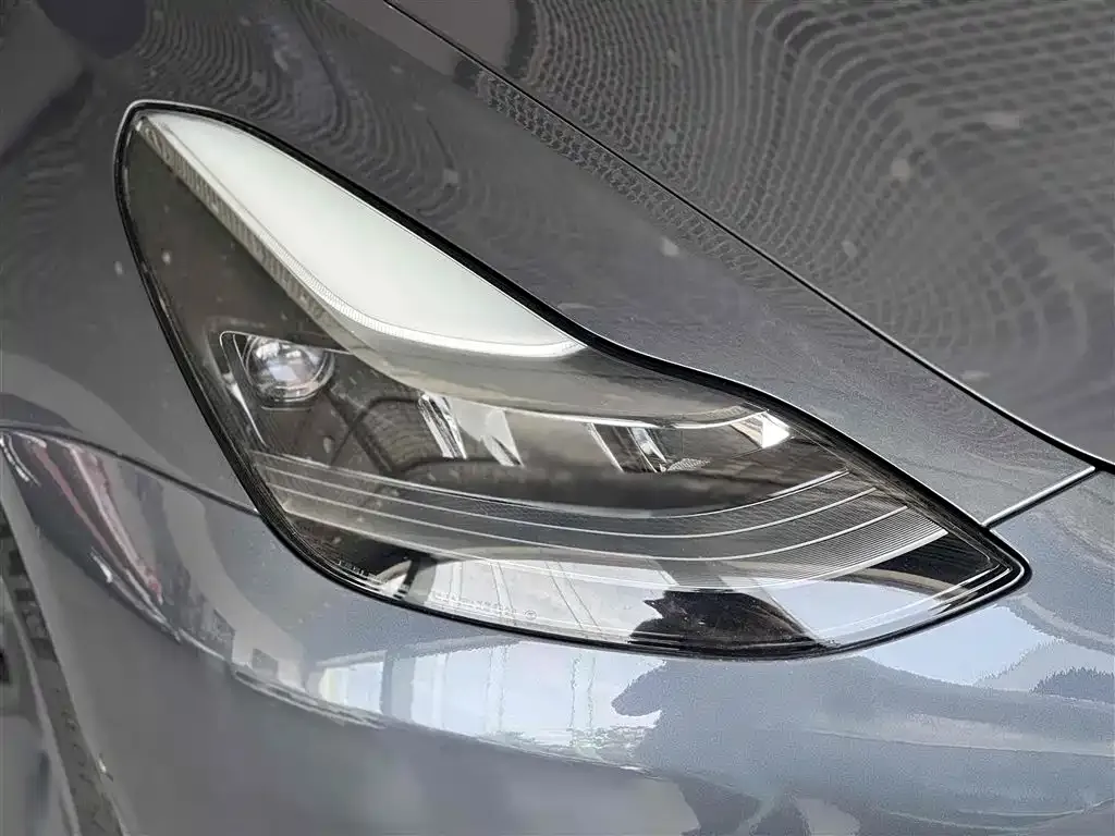 Tesla Model 3 2021 из CN, фото 6