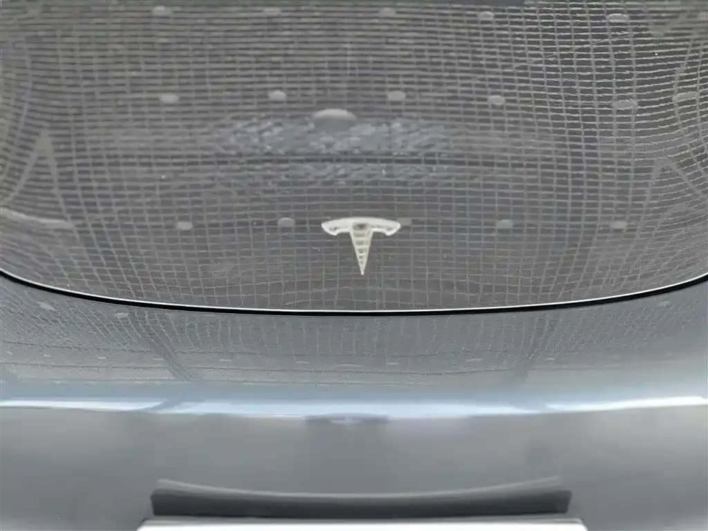 Tesla Model 3 2021 из CN, фото 7
