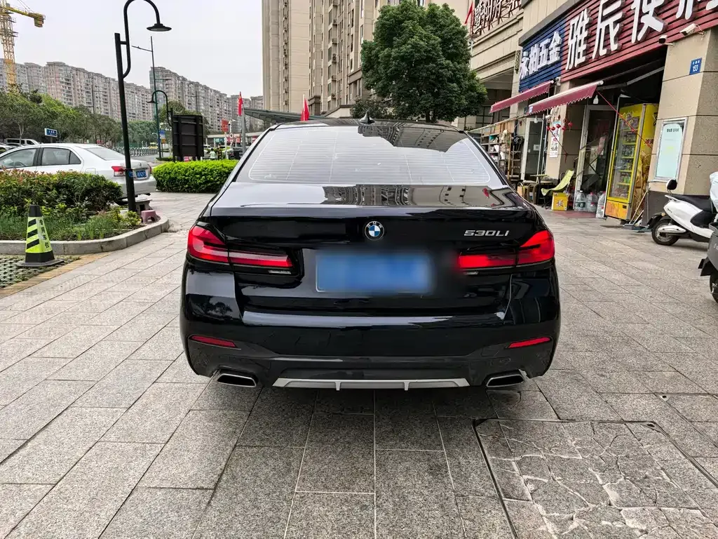 BMW 5 Series 2023 из CN, фото 10