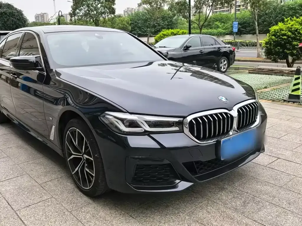BMW 5 Series 2023 из CN, фото 2