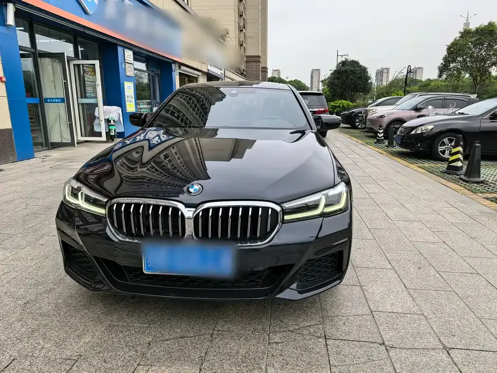 BMW 5 Series 2023 из CN, фото 3