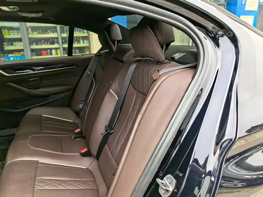 BMW 5 Series 2023 из CN, фото 5