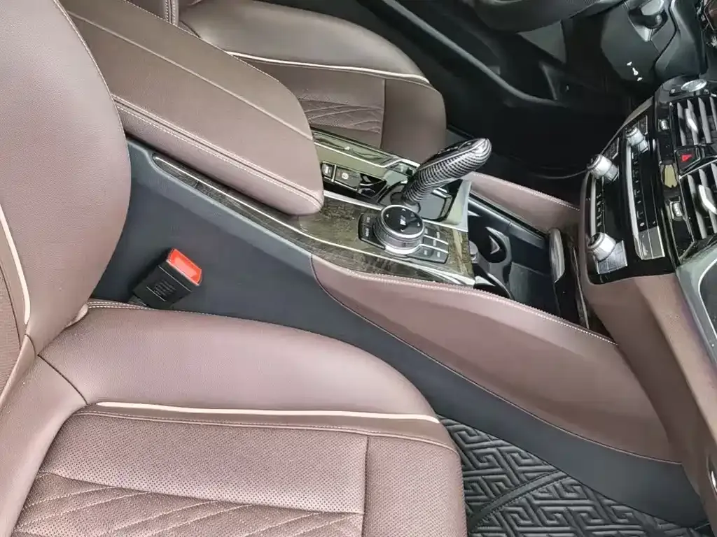 BMW 5 Series 2023 из CN, фото 8