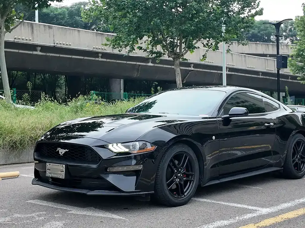Ford Mustang — фото 1