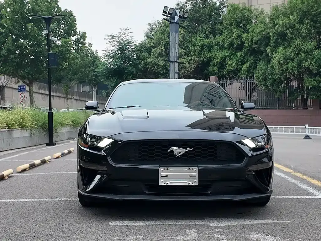 Ford Mustang — фото 2