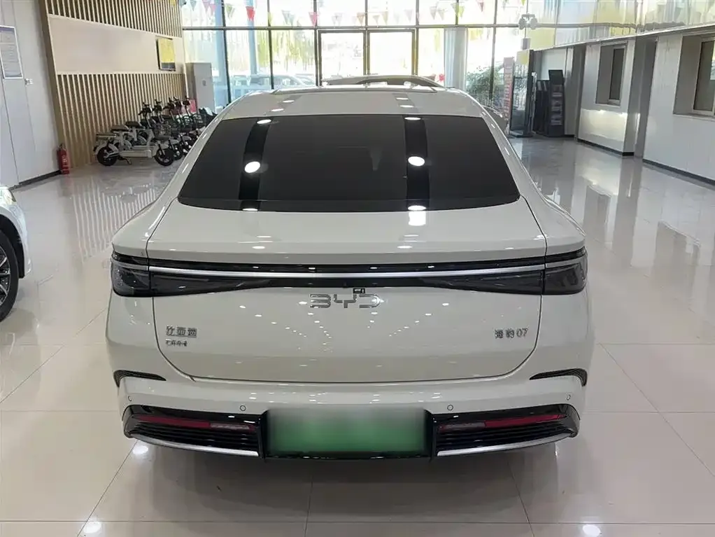 BYD Seal 07 DM-i 2024 из CN, фото 6