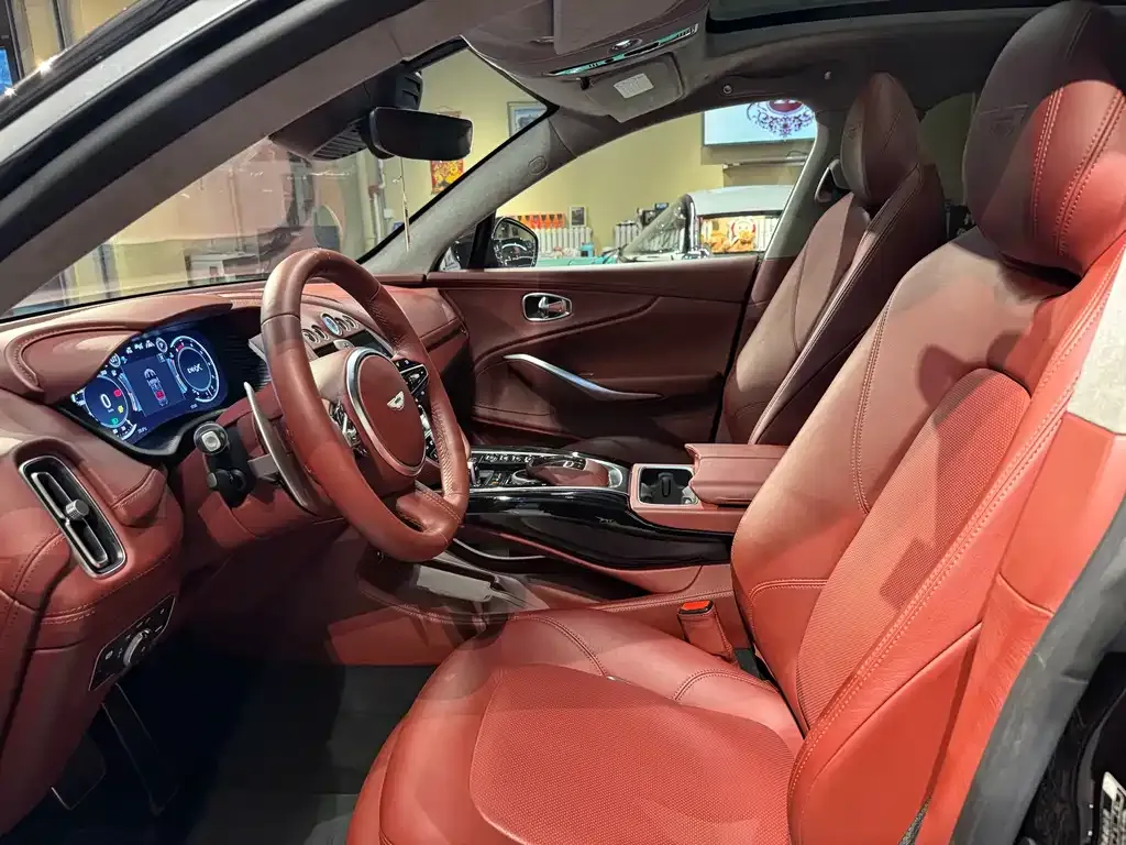 Aston Martin DBX 2021 из CN, фото 10