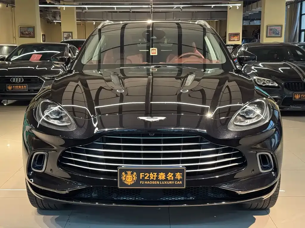 Aston Martin DBX 2021 из CN, фото 3