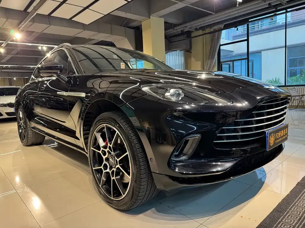 Aston Martin DBX 2021 из CN, фото 4
