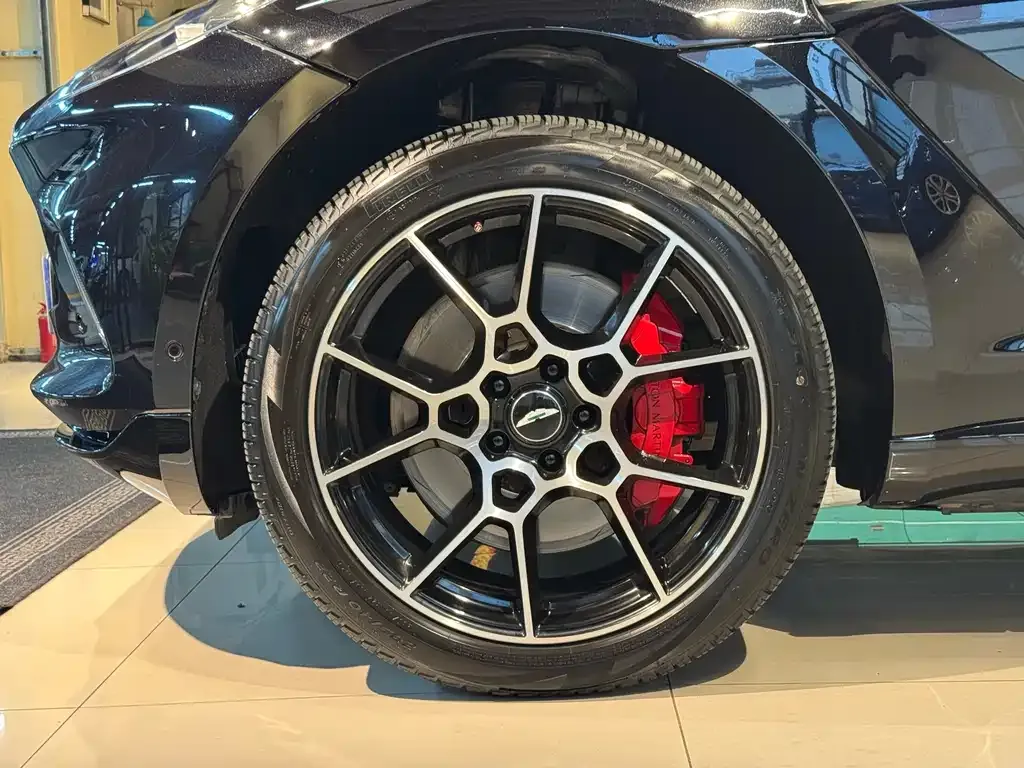 Aston Martin DBX 2021 из CN, фото 5