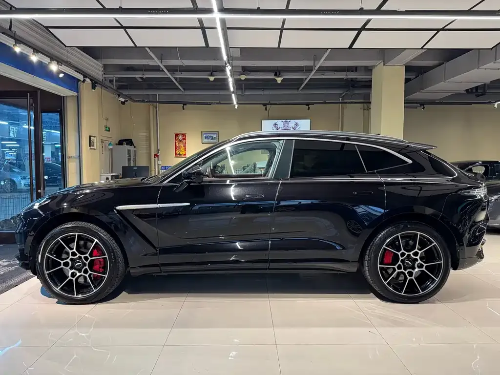Aston Martin DBX 2021 из CN, фото 6