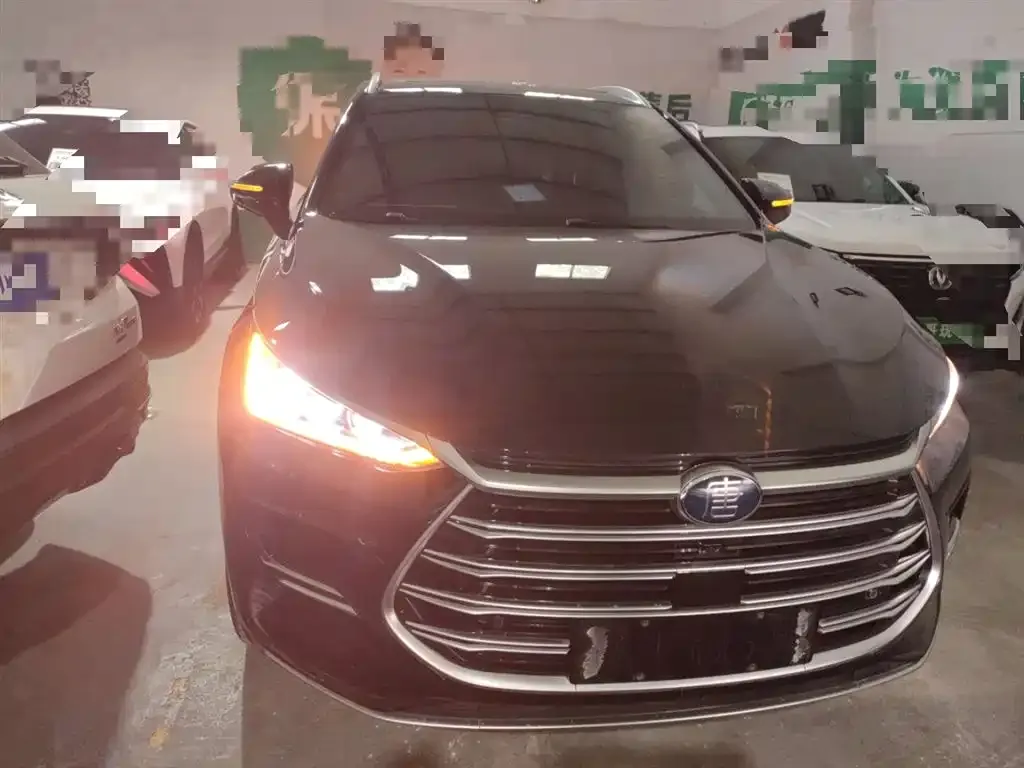 BYD Tang New Energy 2024 из CN, фото 3