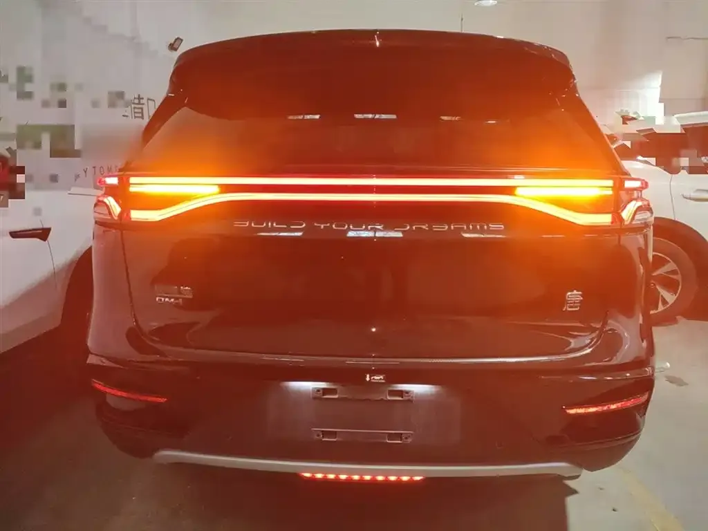 BYD Tang New Energy 2024 из CN, фото 6