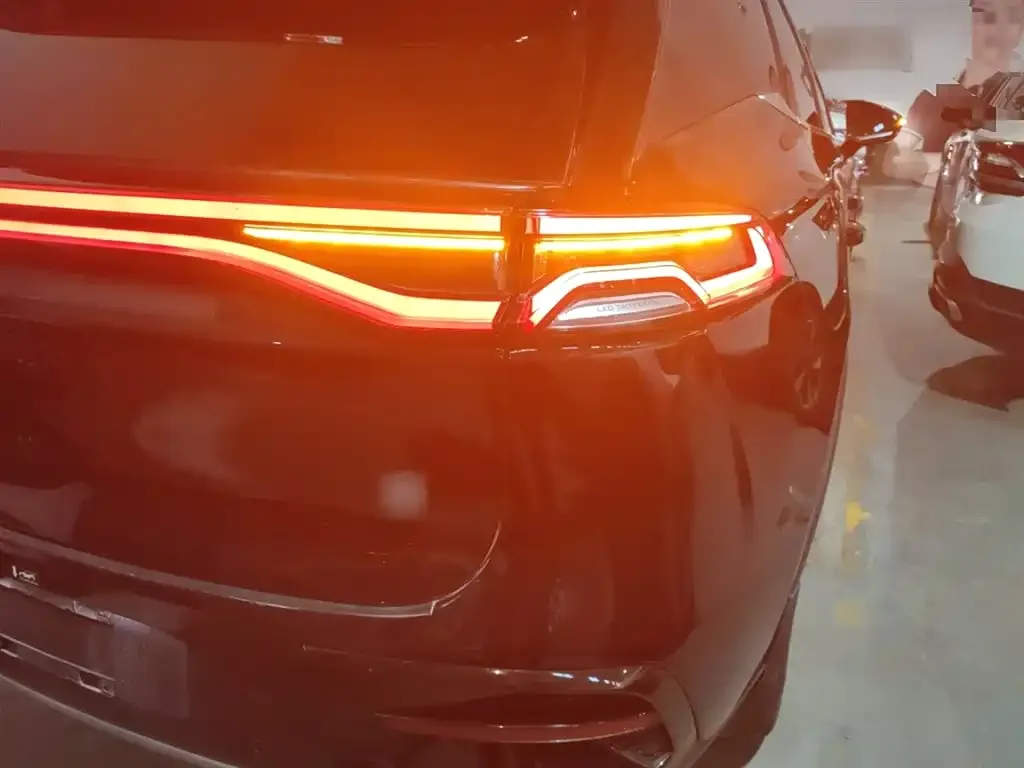 BYD Tang New Energy 2024 из CN, фото 8