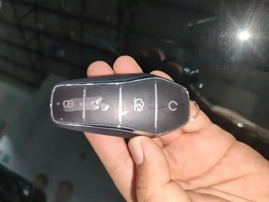 BYD Tang New Energy 2024 из CN, фото 9