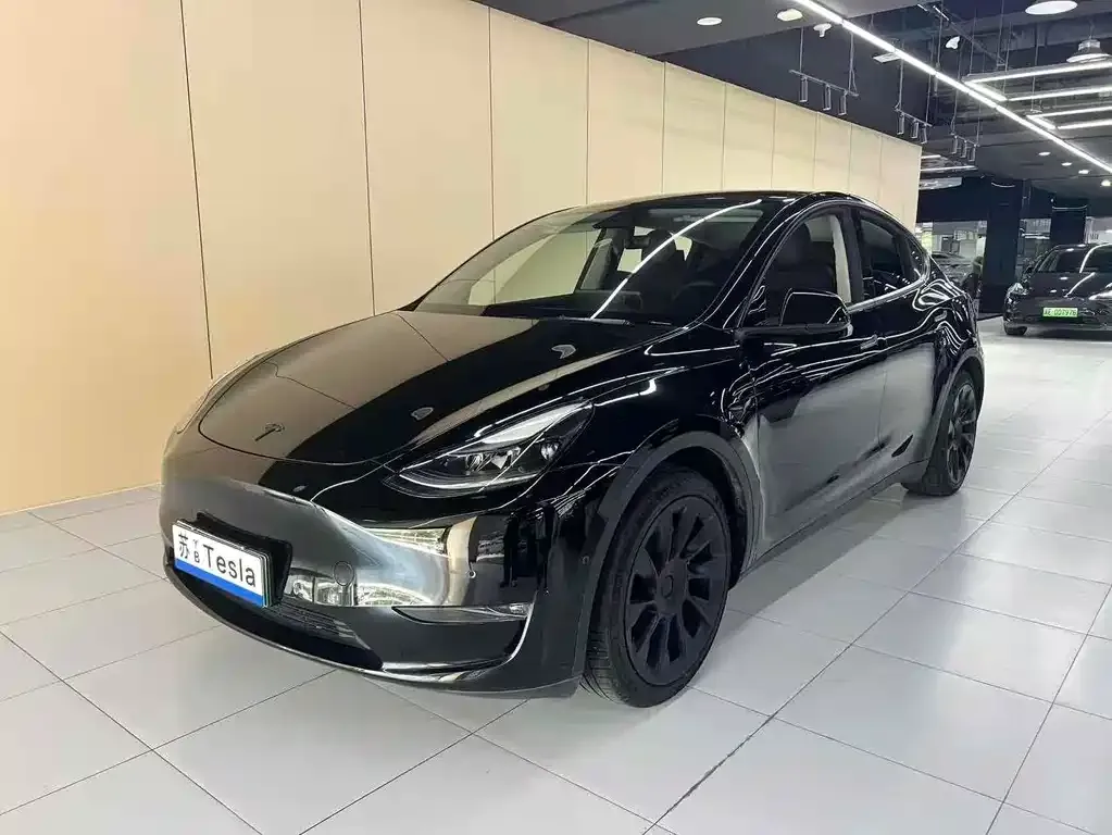 Tesla Model Y 2021 из CN, фото 1