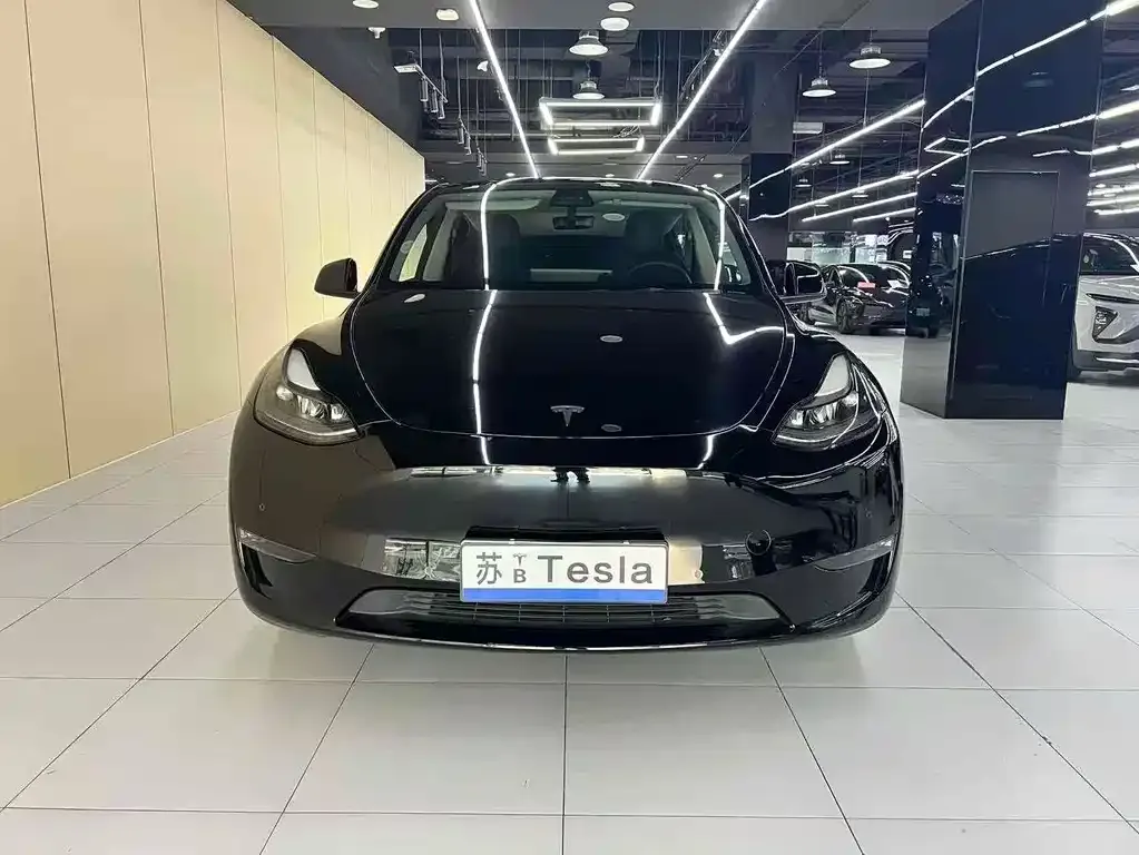 Tesla Model Y 2021 из CN, фото 2