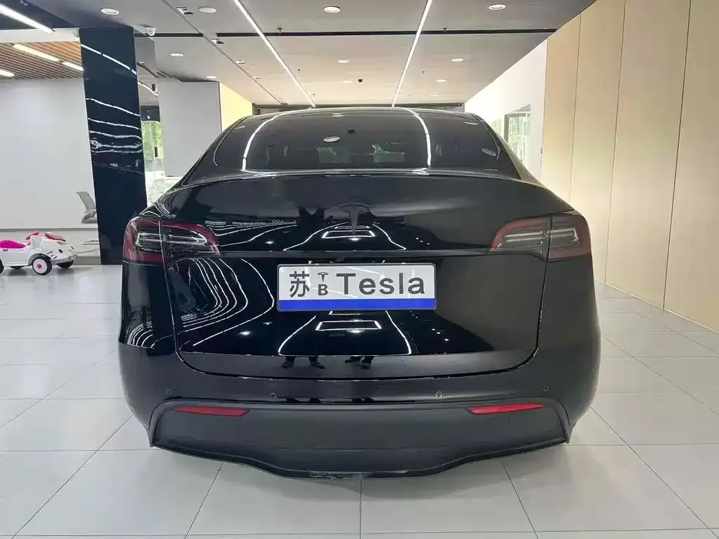 Tesla Model Y 2021 из CN, фото 3