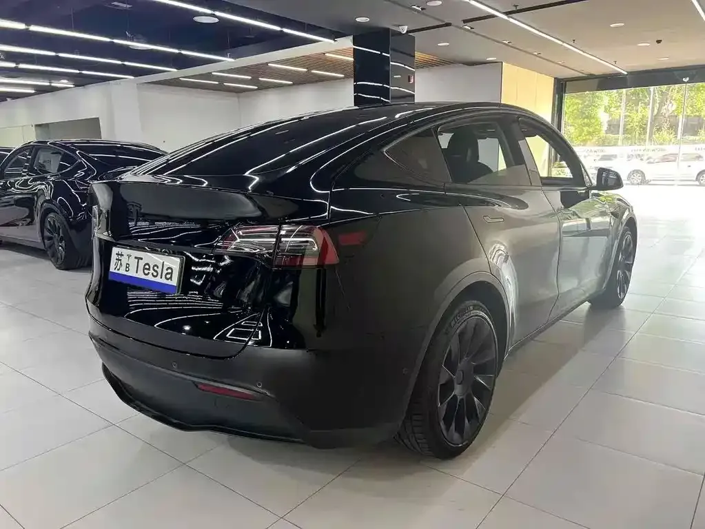 Tesla Model Y 2021 из CN, фото 4