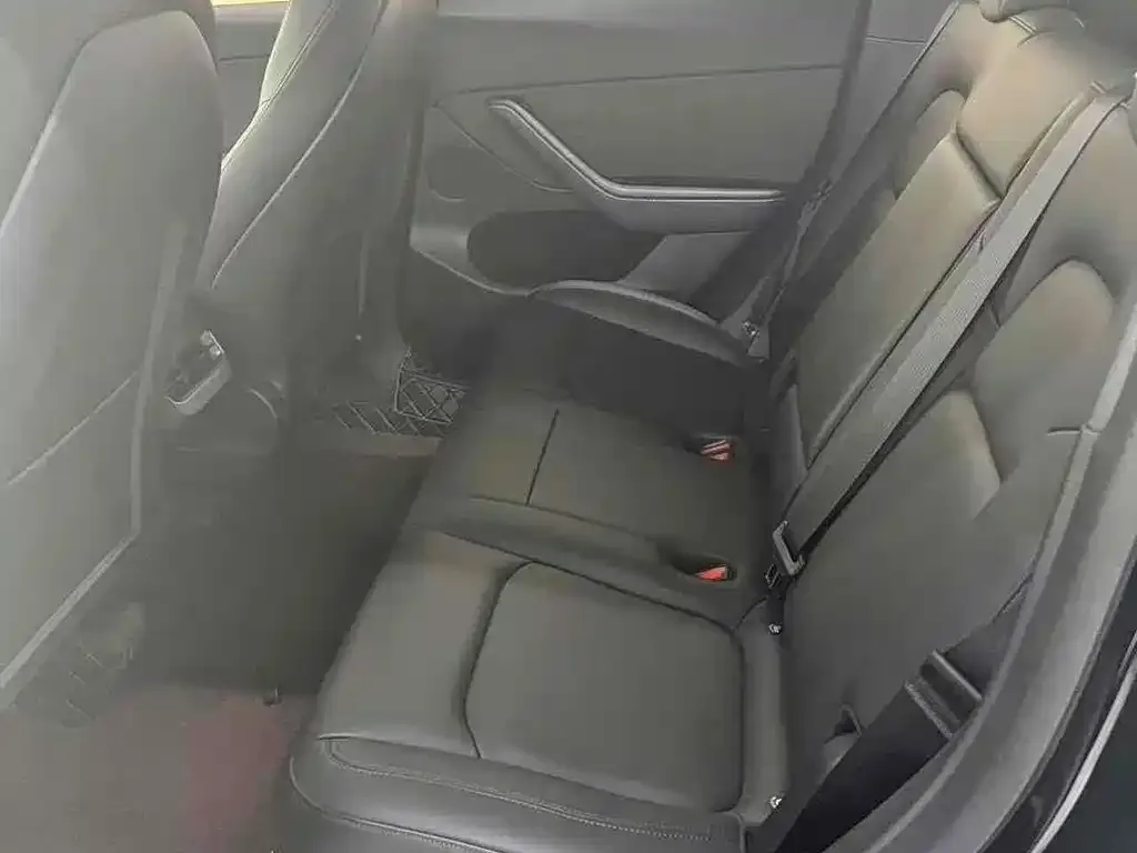 Tesla Model Y 2021 из CN, фото 6