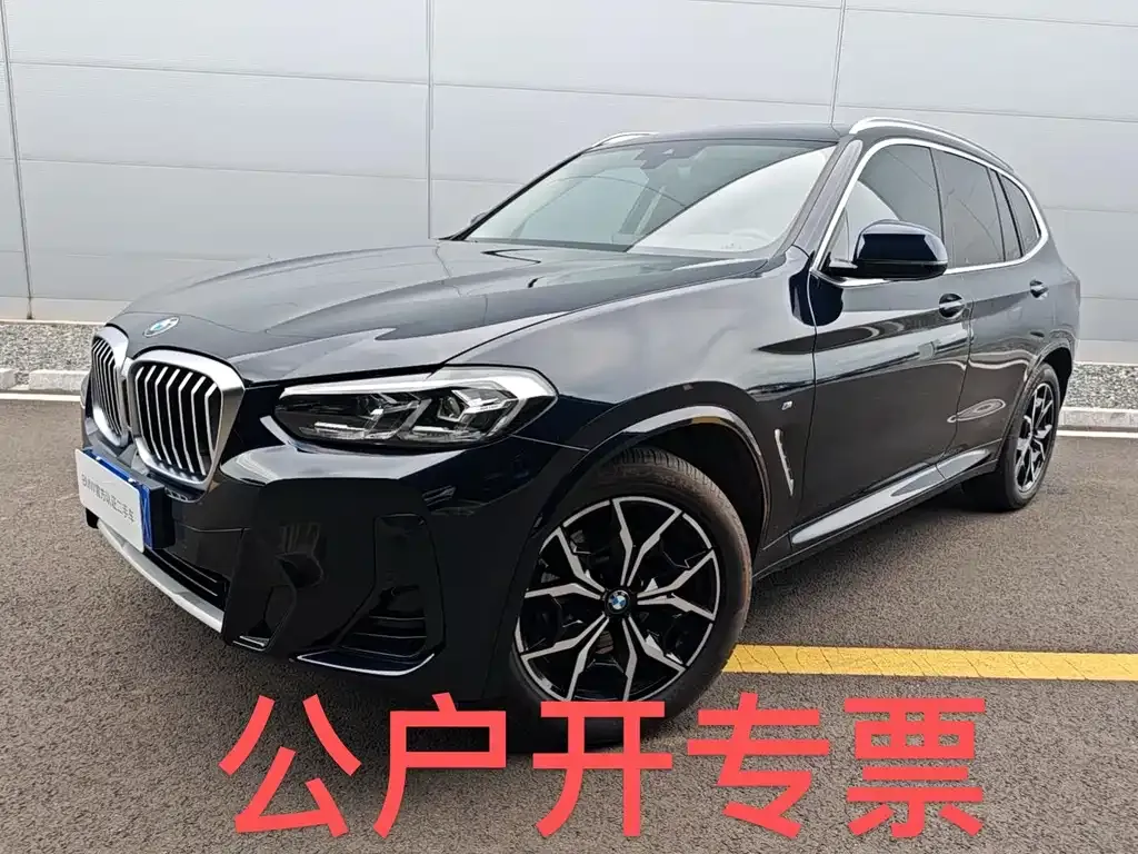 BMW X3 2024 из CN, фото 2