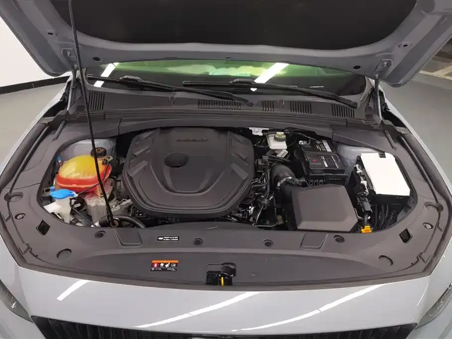Geely Xingrui 2021 из CN, фото 10