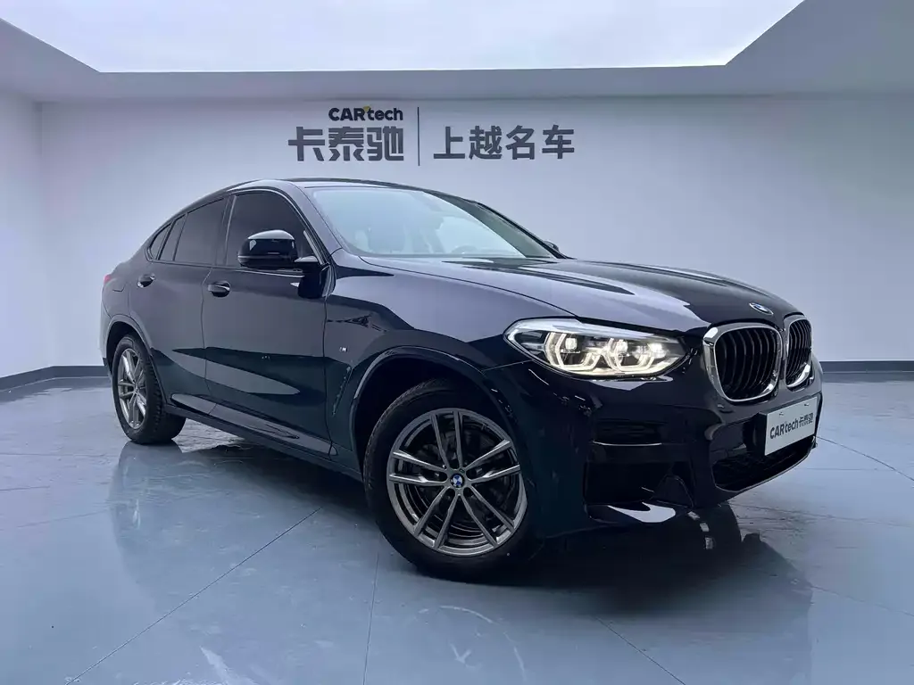 BMW X4 2021 из CN, фото 4