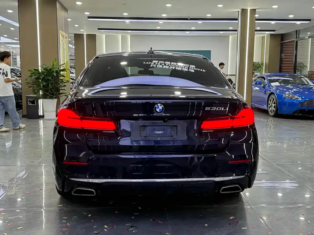 BMW 5 Series 2021 из CN, фото 10