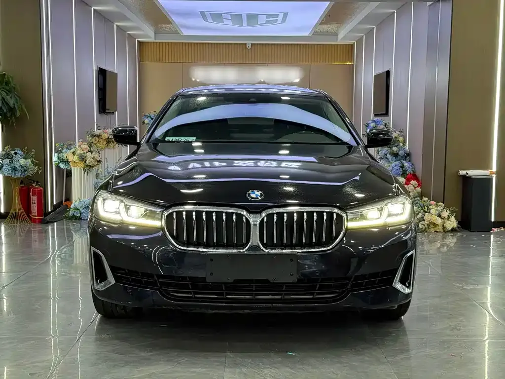 BMW 5 Series 2021 из CN, фото 2