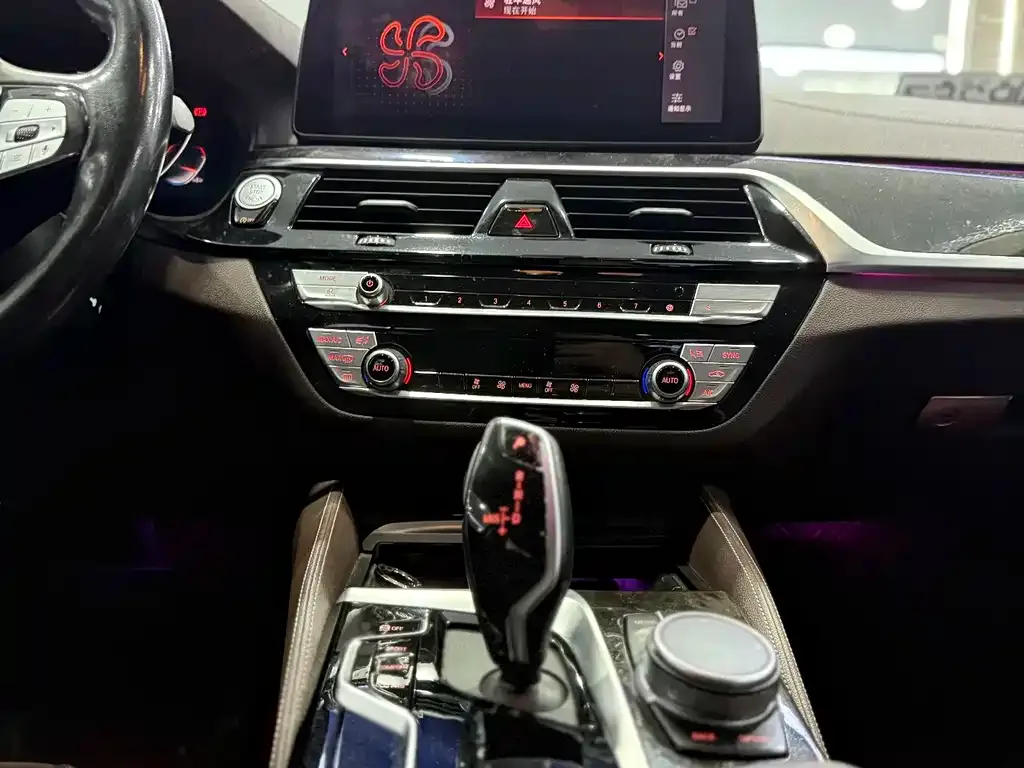 BMW 5 Series 2021 из CN, фото 7