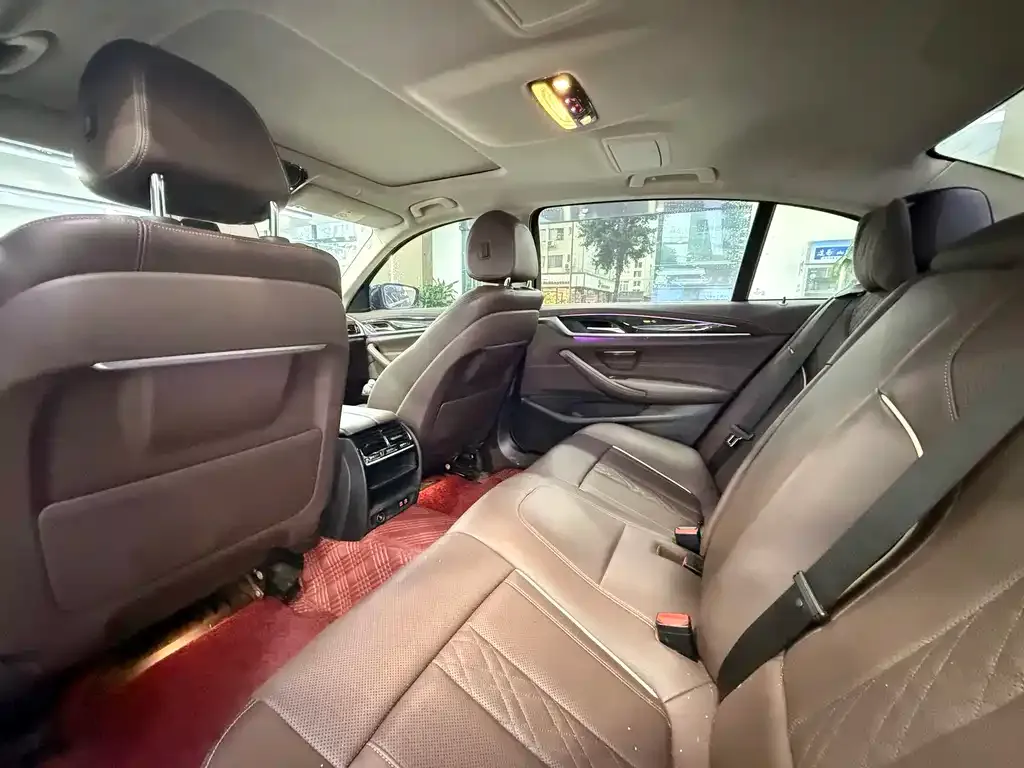 BMW 5 Series 2021 из CN, фото 8