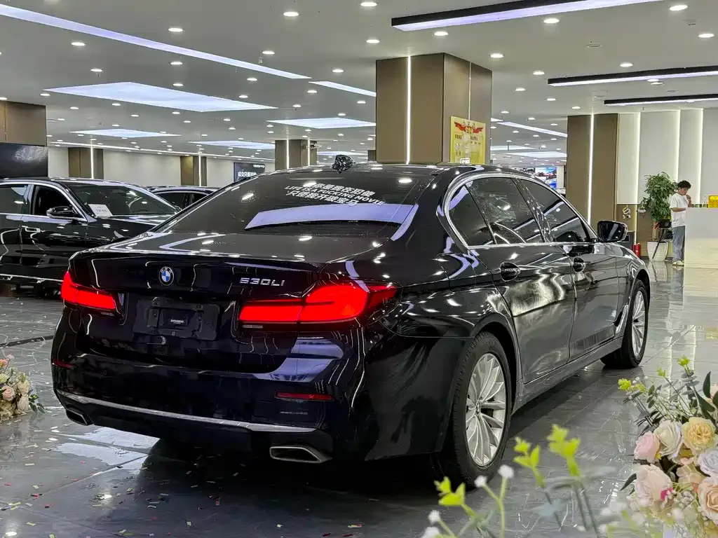 BMW 5 Series 2021 из CN, фото 9