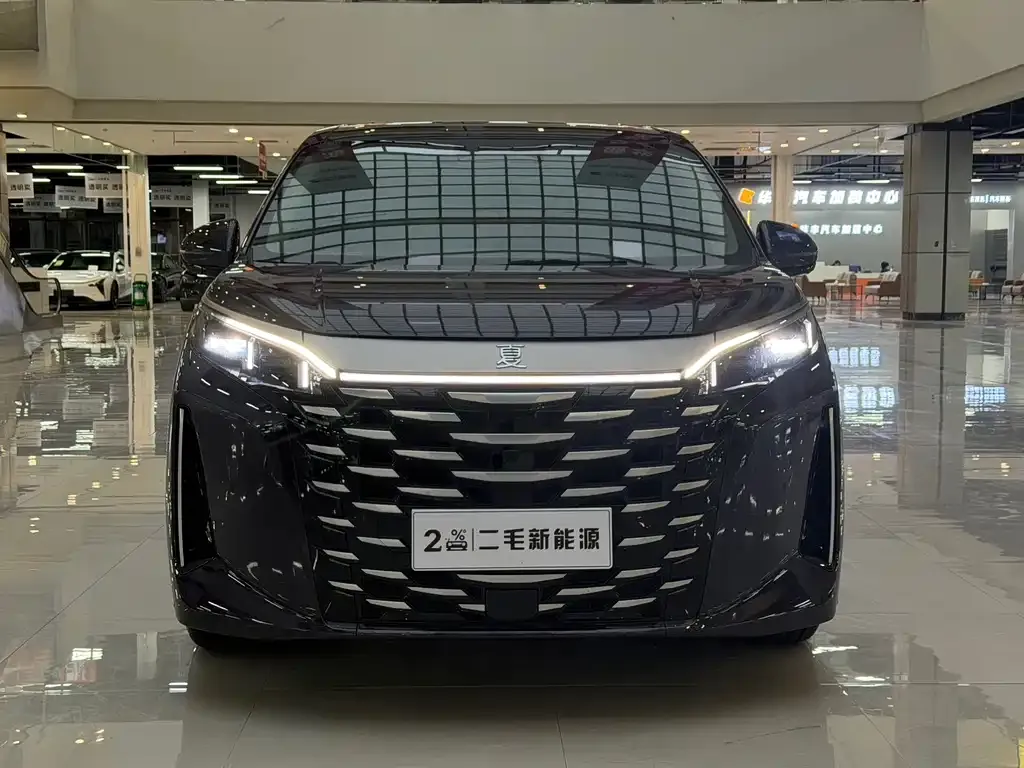 BYD Xia 2025 из CN, фото 2