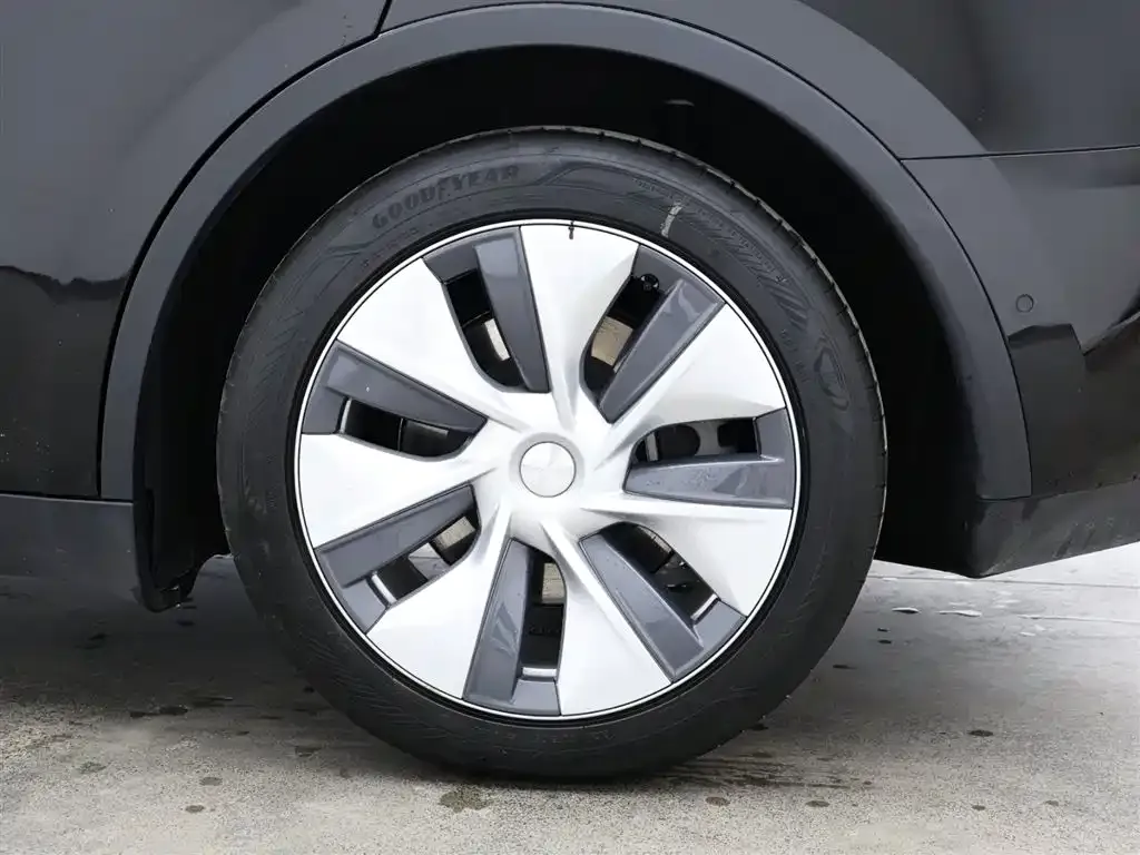 Tesla Model Y 2023 из CN, фото 9
