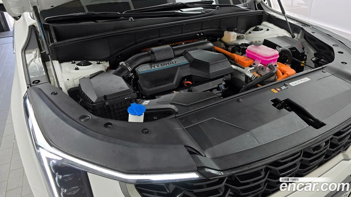 [object Object] Sorento 2024 из KR, фото 6