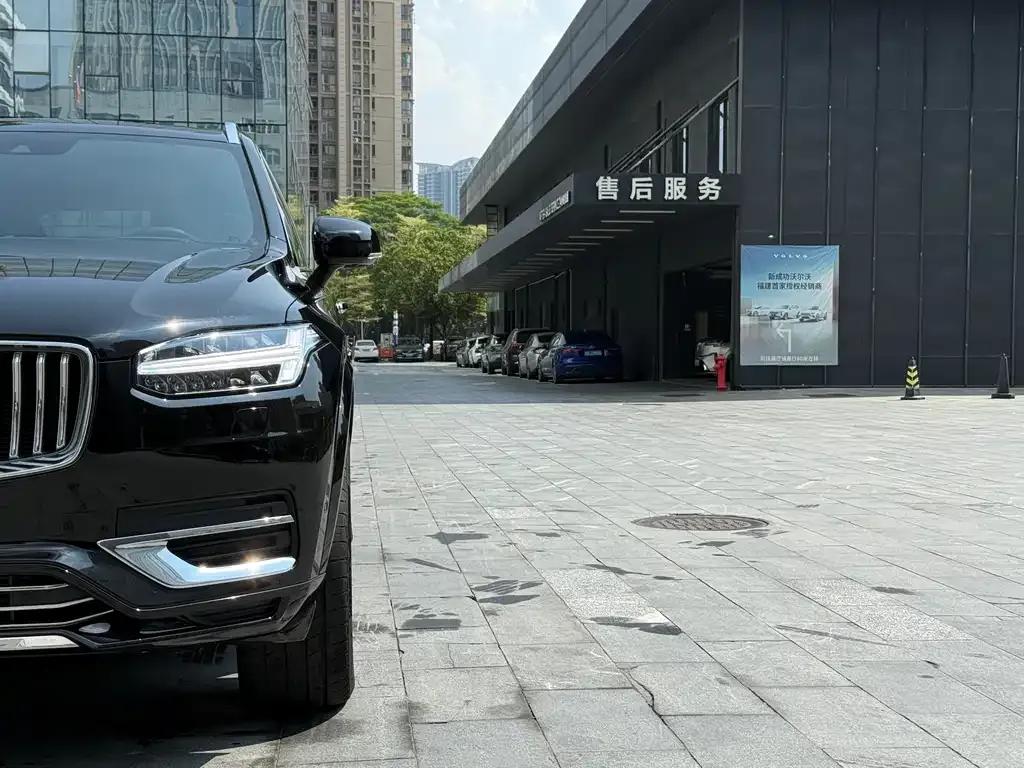 Volvo XC90 PHEV 2021 из CN, фото 10