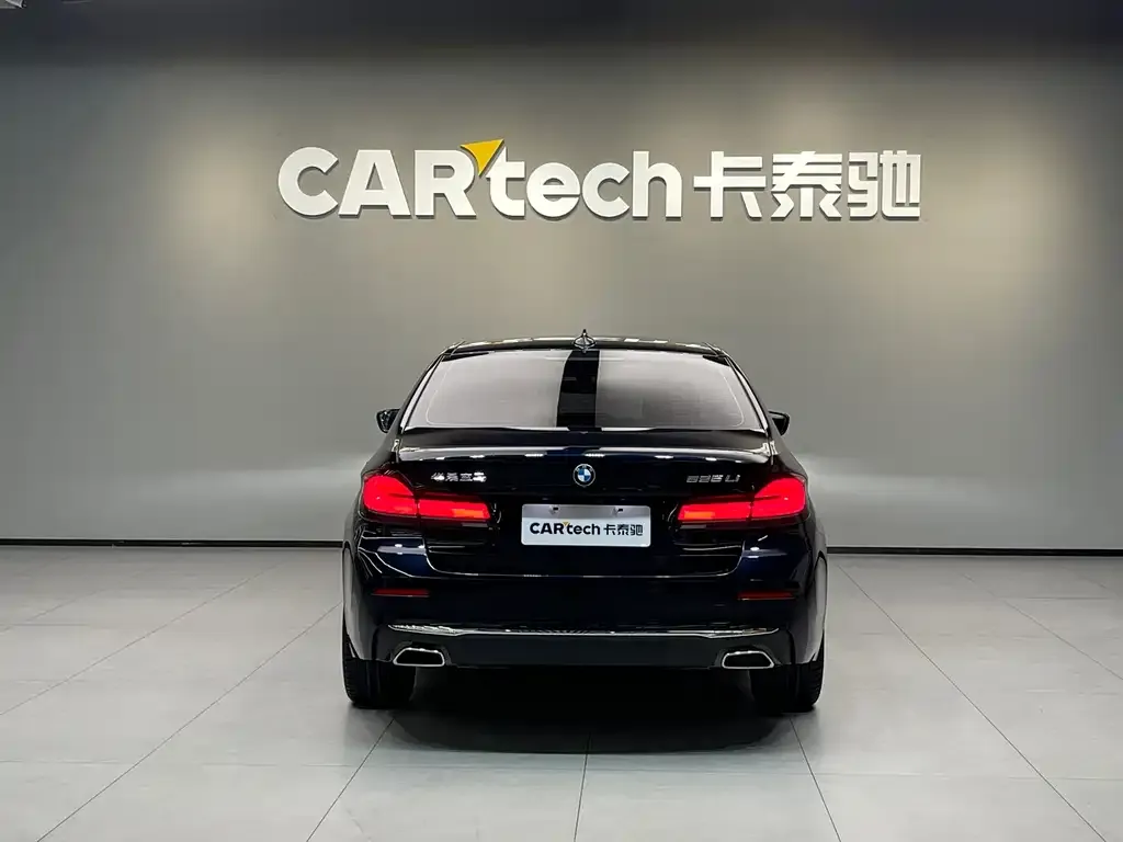 BMW 5 Series 2022 из CN, фото 5