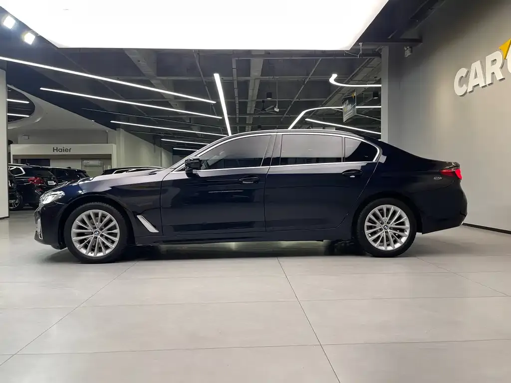 BMW 5 Series 2022 из CN, фото 8