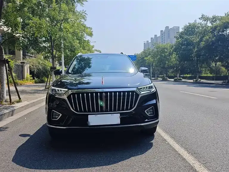 Hongqi HS5 2021 из CN, фото 7