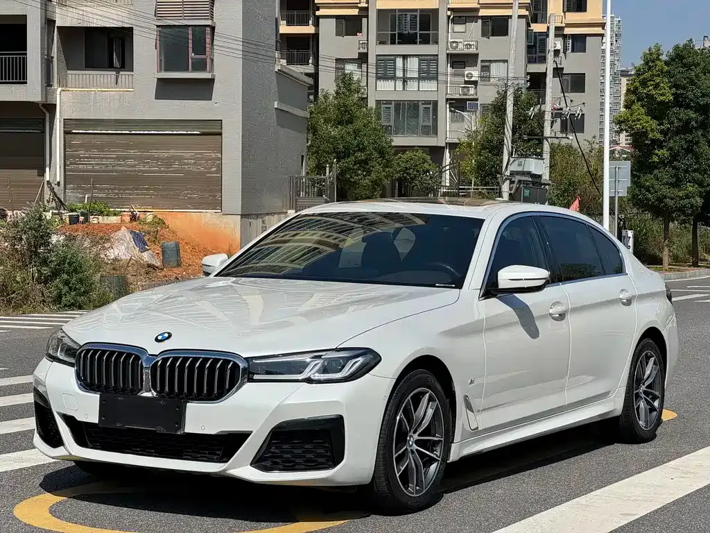 BMW 5 Series 2022 из CN, фото 1